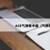 ACE气弹簧中国（气弹簧排名）